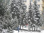 Borovina