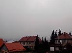 Kvasice