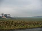 Třibřichy