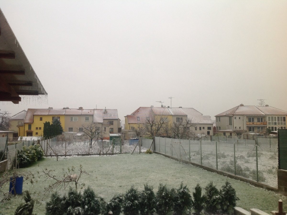 Hrušovany u Brna