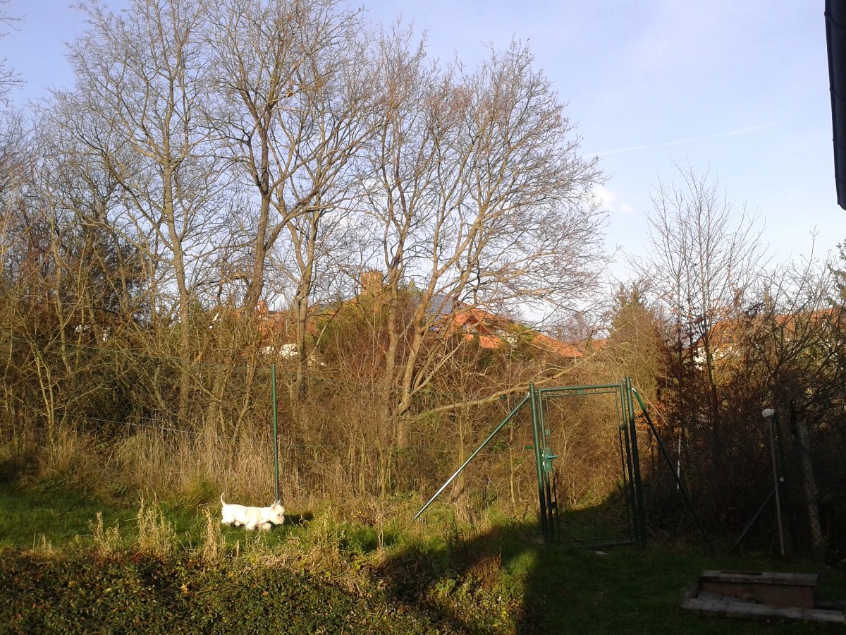 Brno-Jehnice
