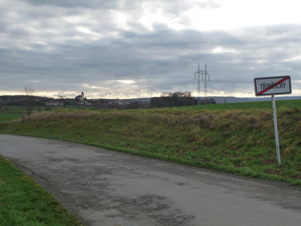 Třibřichy