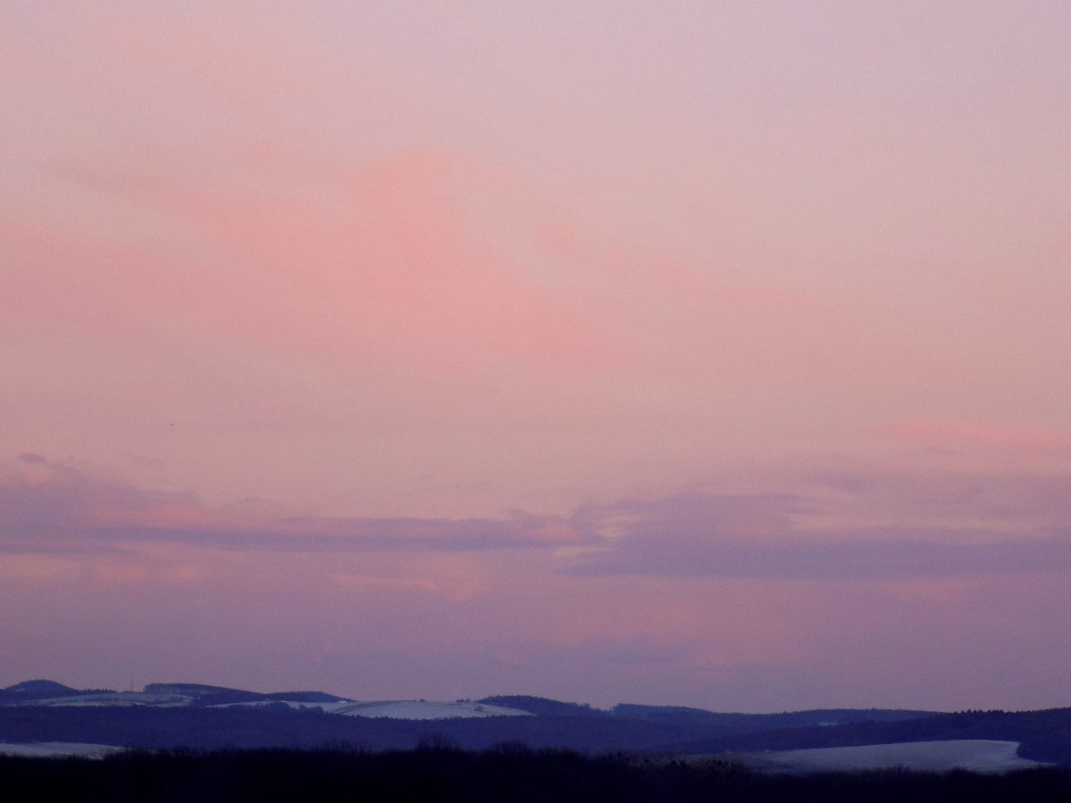 Kvasice