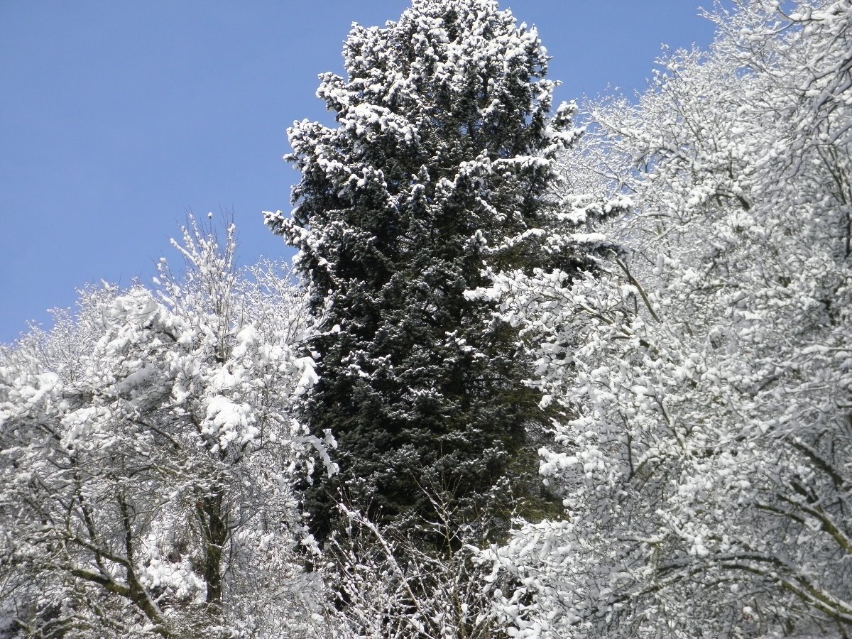 Děčín