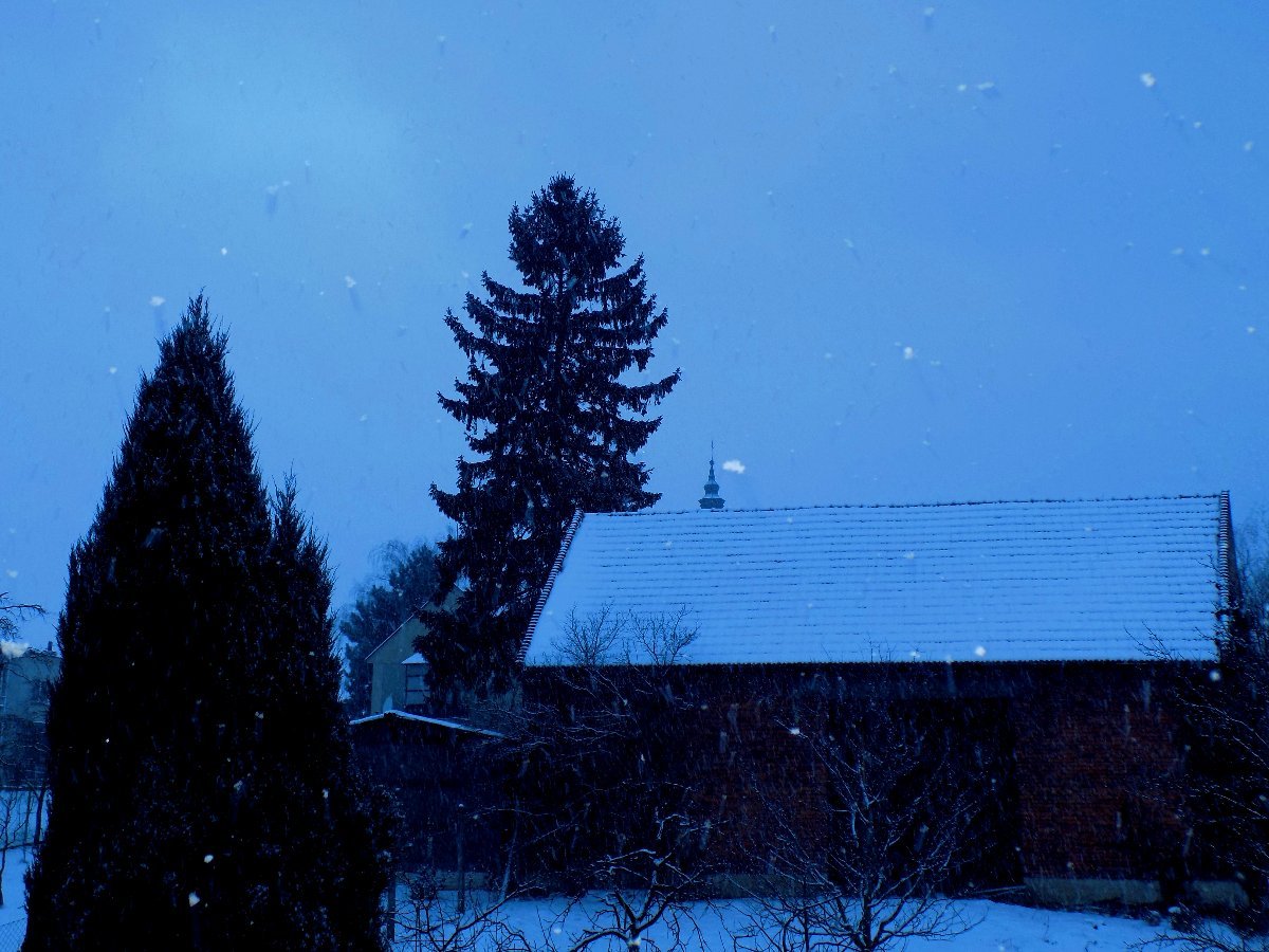 Kvasice