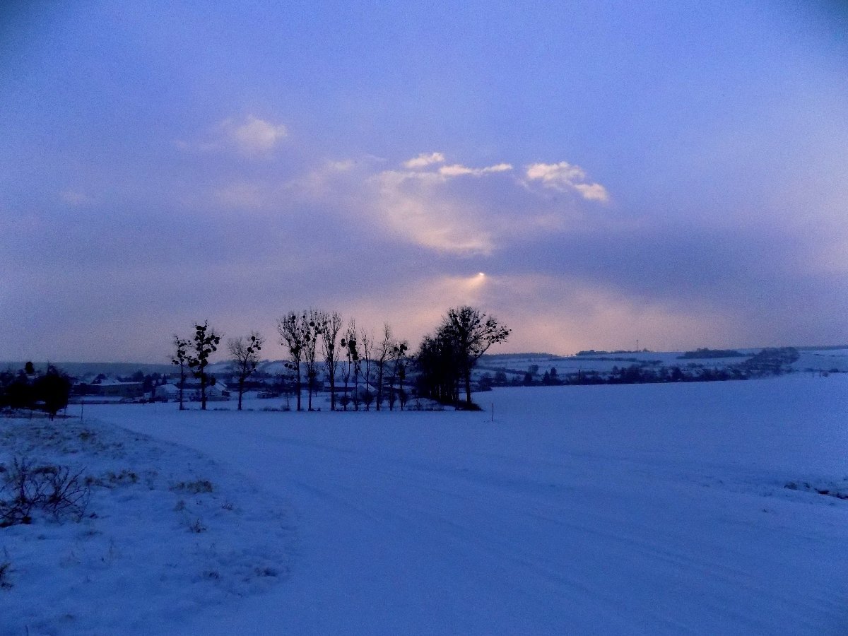 Kvasice