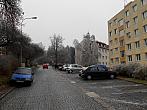 Borovina