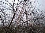 Borovina