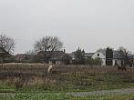 Neratovice