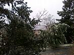 Borovina