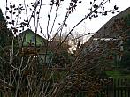 Třibřichy