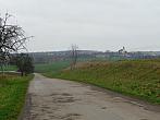 Třibřichy