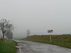 Třibřichy