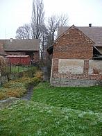 Třibřichy