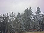 Vítkov