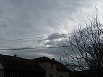Třibřichy