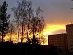 Borovina