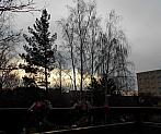 Borovina
