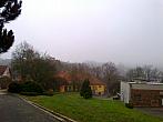 Borovina