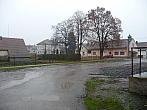 Třibřichy