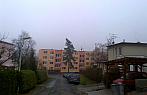 Borovina