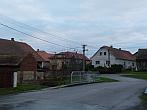 Třibřichy