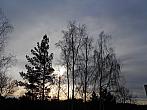 Borovina