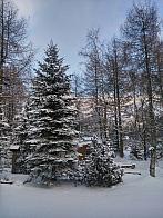Petrovice - Nakléřov