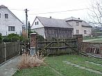 Třibřichy