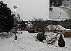 Borovina