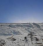 Stařeč