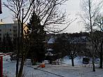 Borovina