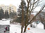 Borovina