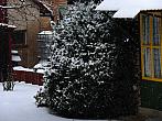 Třemošnice