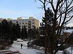 Borovina
