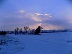 Kvasice