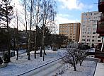 Borovina