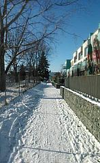 Černošice
