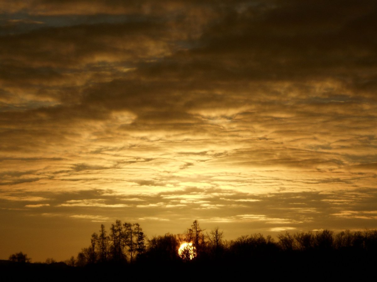 Vítkov