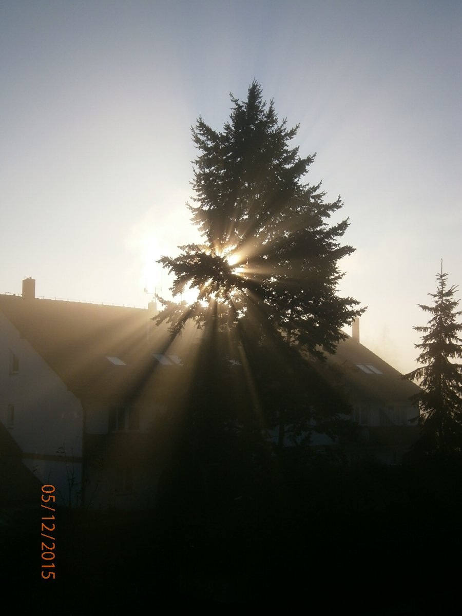 Třebechovice pod Orebem