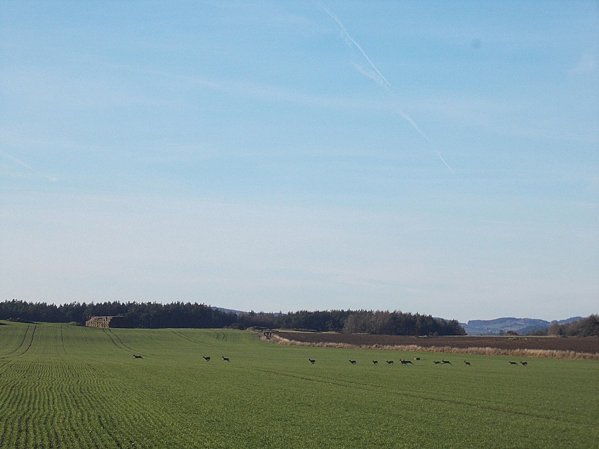 Hostákov
