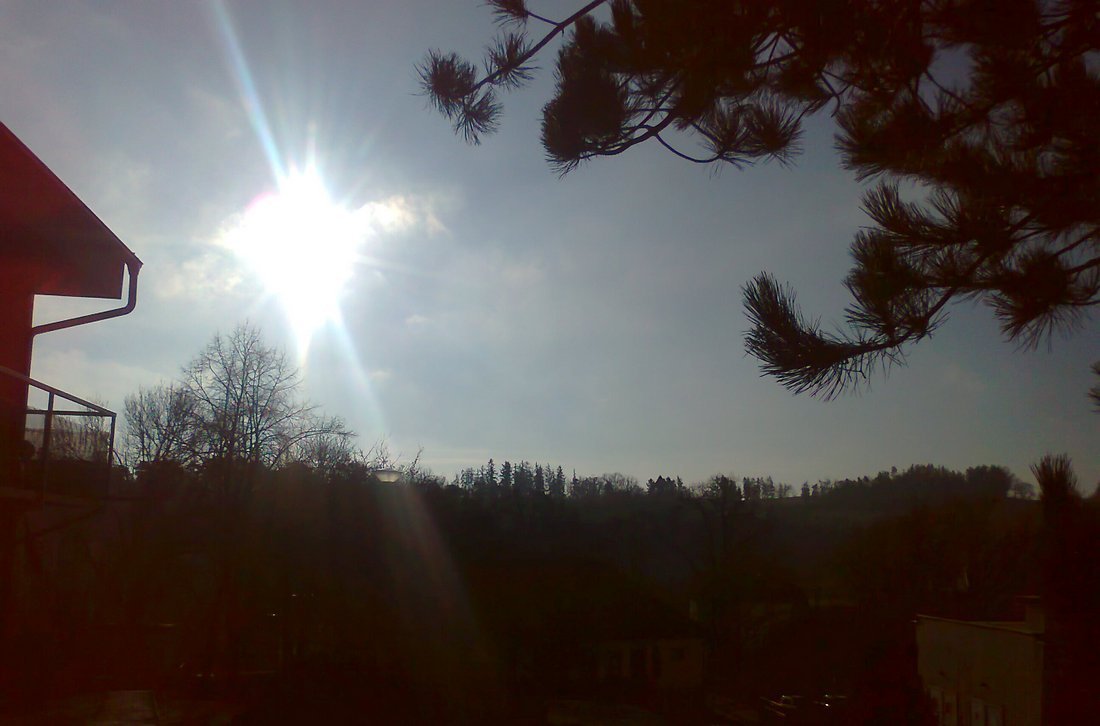 Borovina