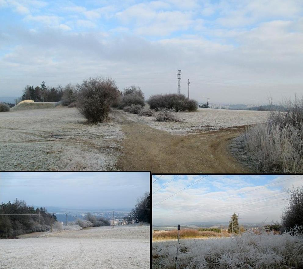 Borovina