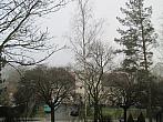 Borovina