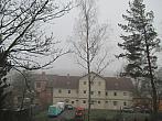 Borovina
