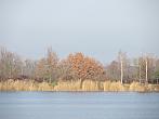 Neratovice