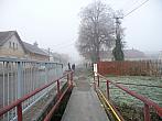 Třibřichy
