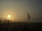Vidov