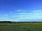 Vidov