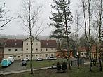 Borovina